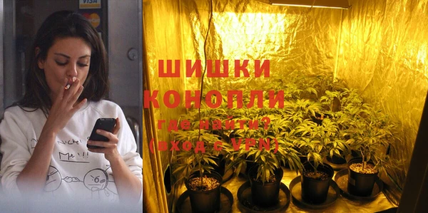 спиды Няндома