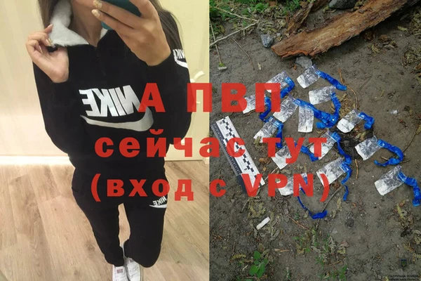 спиды Няндома