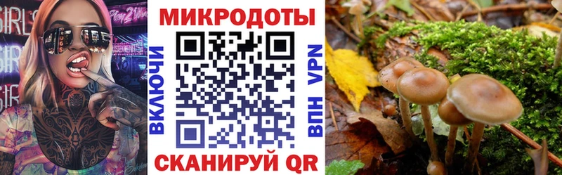 Галлюциногенные грибы Psilocybine cubensis Приморско-Ахтарск