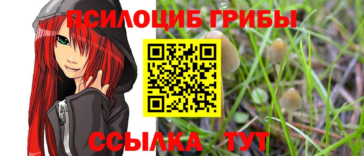 Приморско-Ахтарск  закладка  Вход с VPN  Галлюциногенные грибы мицелий 