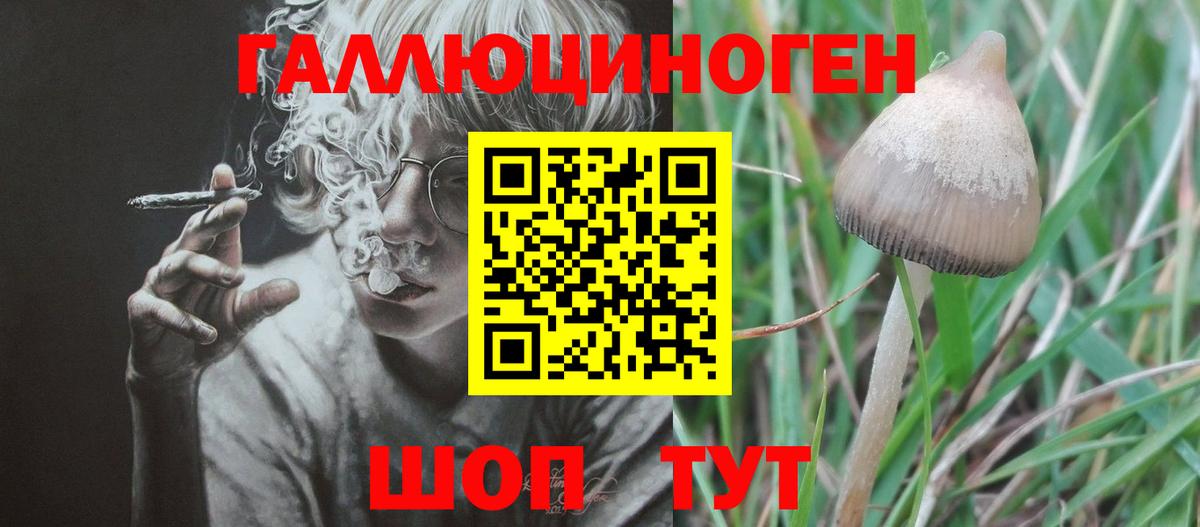 Псилоцибиновые грибы прущие грибы  Приморско-Ахтарск 