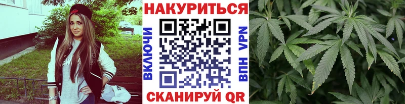 Канабис семена  закладки  Приморско-Ахтарск 